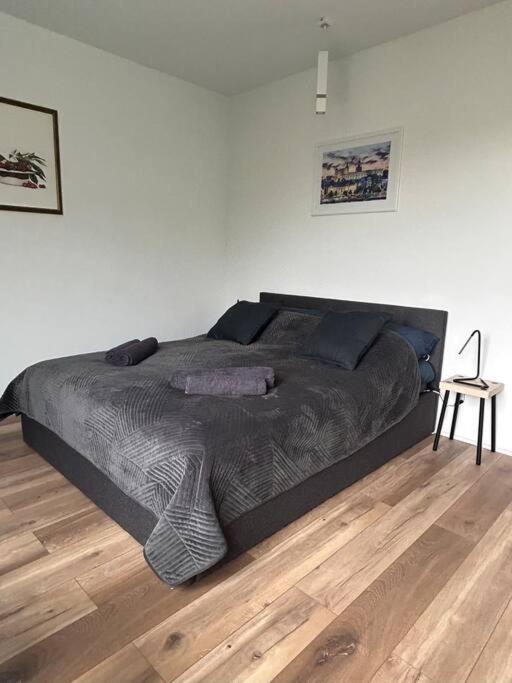 Apartament Stary Stettino Esterno foto