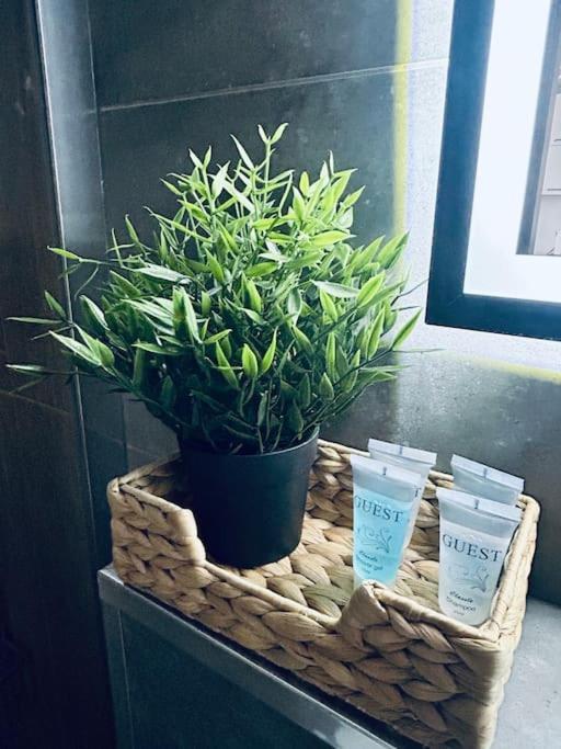 Apartament Stary Stettino Esterno foto
