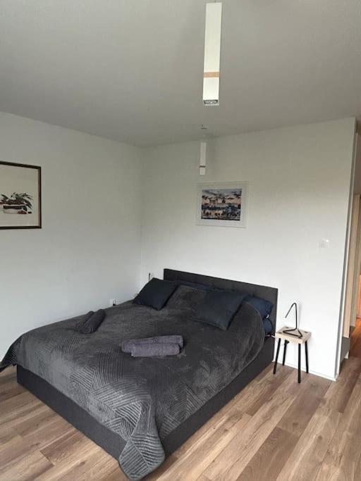 Apartament Stary Stettino Esterno foto