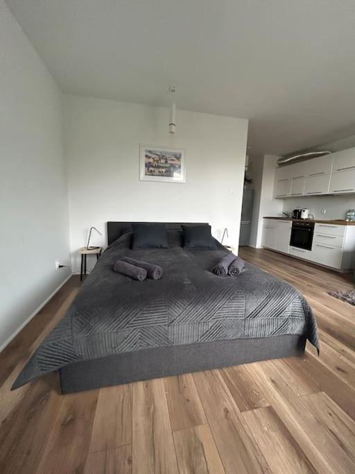 Apartament Stary Stettino Esterno foto