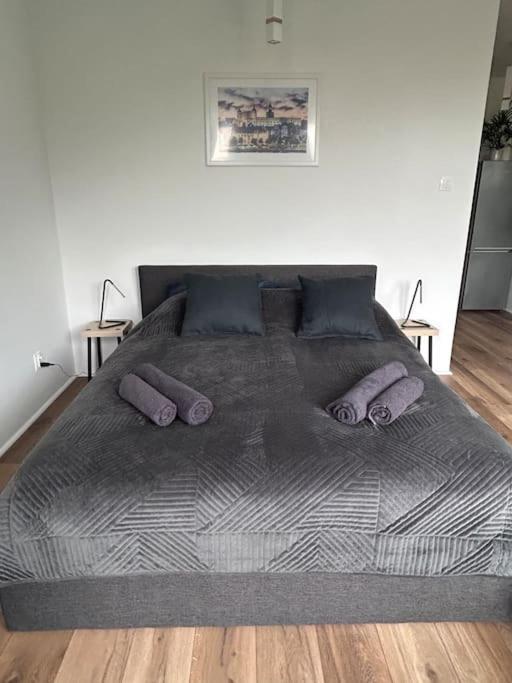 Apartament Stary Stettino Esterno foto